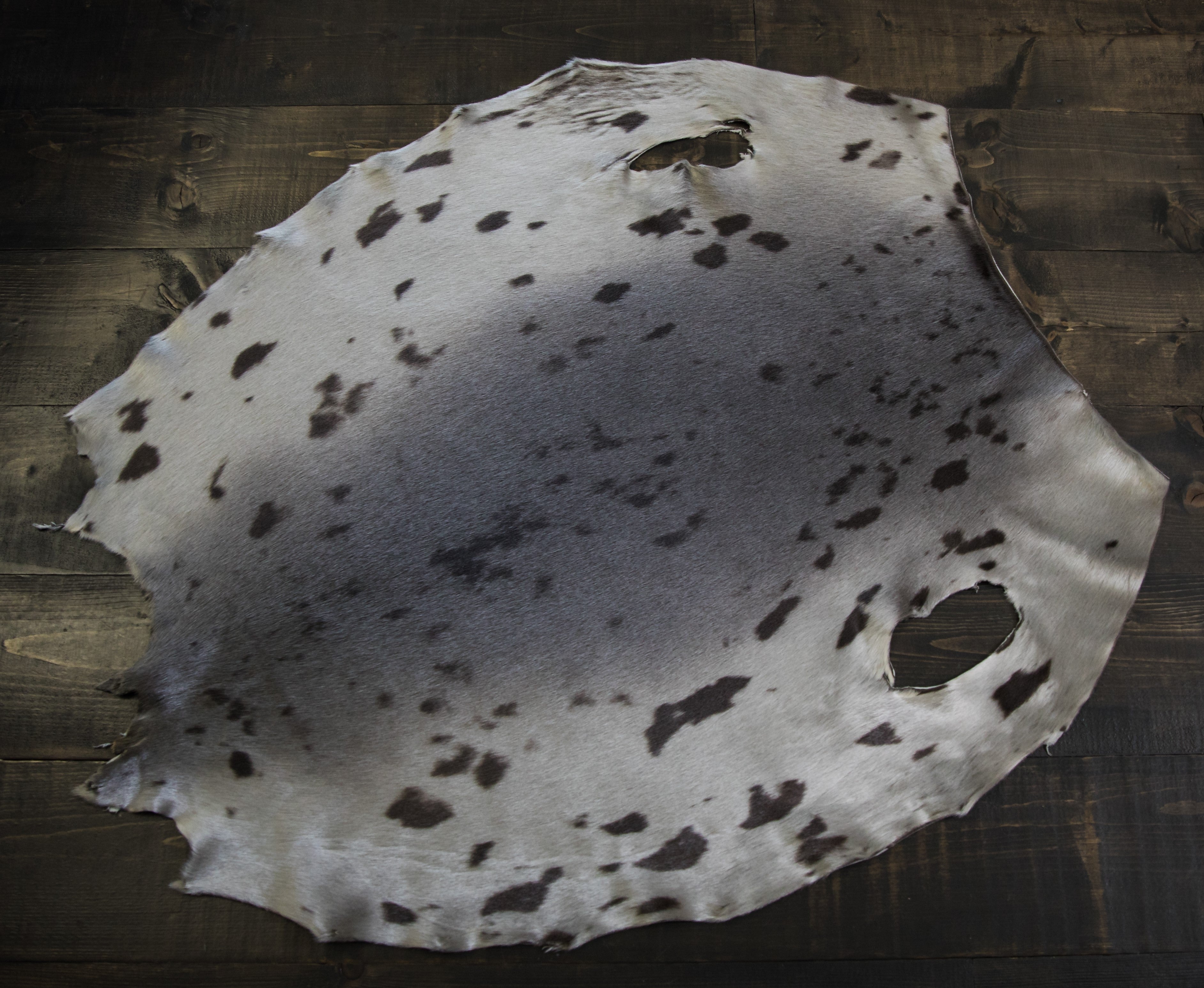 Harp Seal Skin - Natural – Brador Fabrics