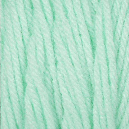 Bernat® Super Value - Mint (detail)