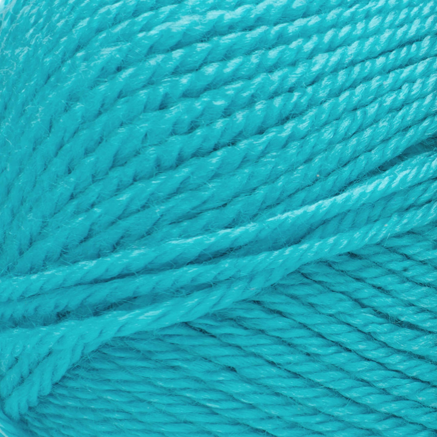 Red Heart® Soft - Turquoise (detail)