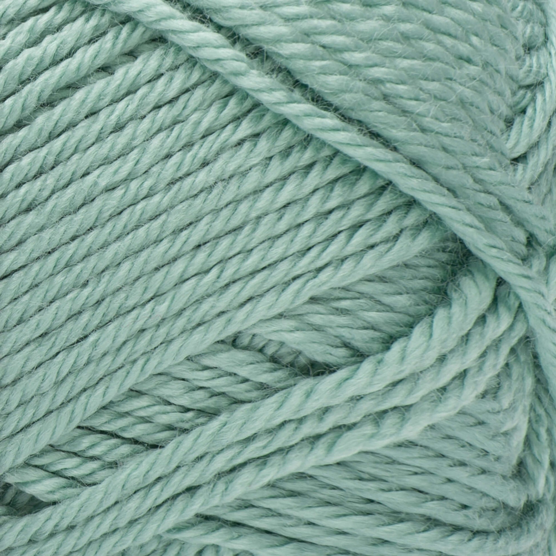 Red Heart® Soft - Seafoam (detail)