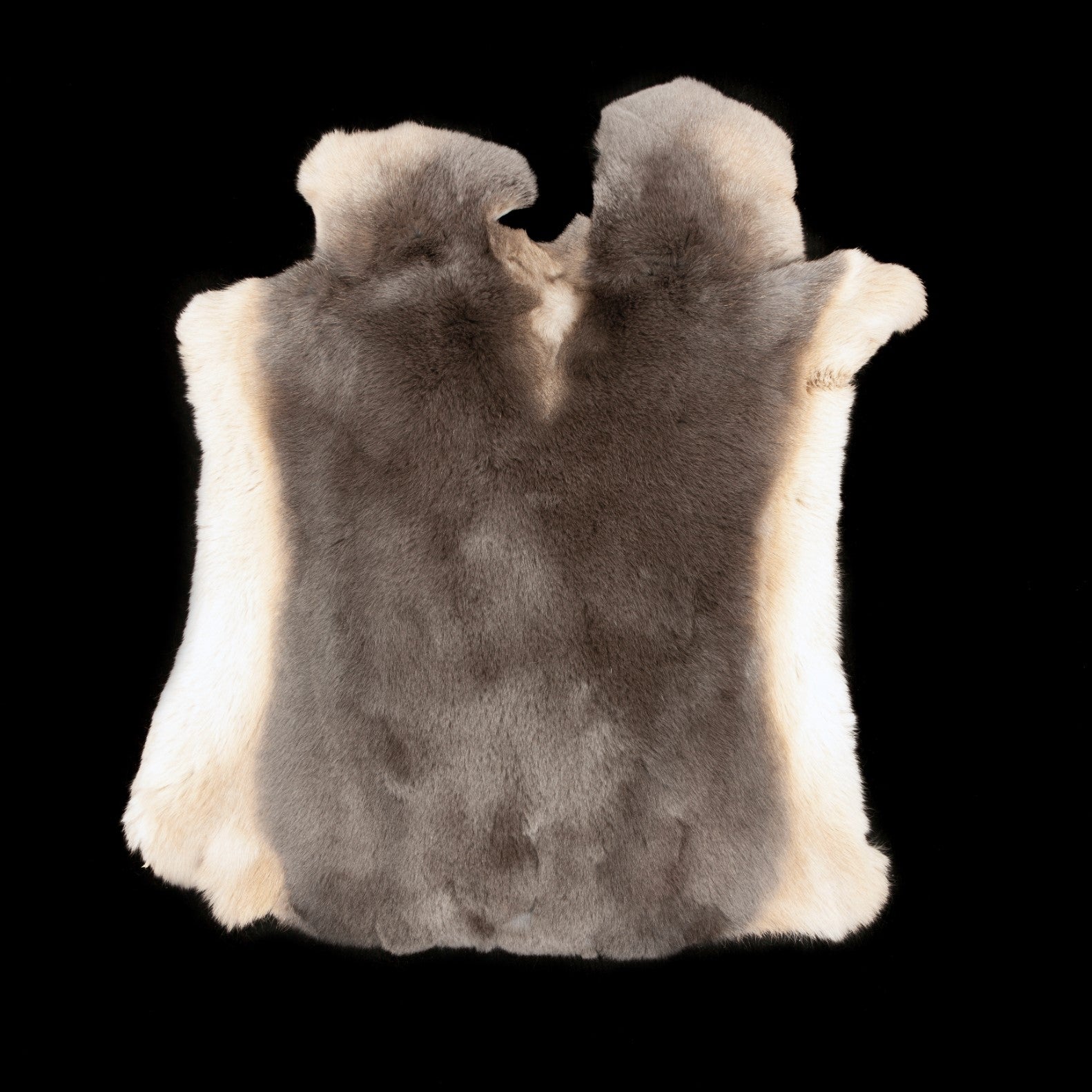 Rex Rabbit Fur - Grey / Tan