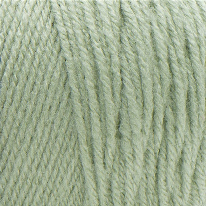 Red Heart® Super Saver - Frosty Green (detail)