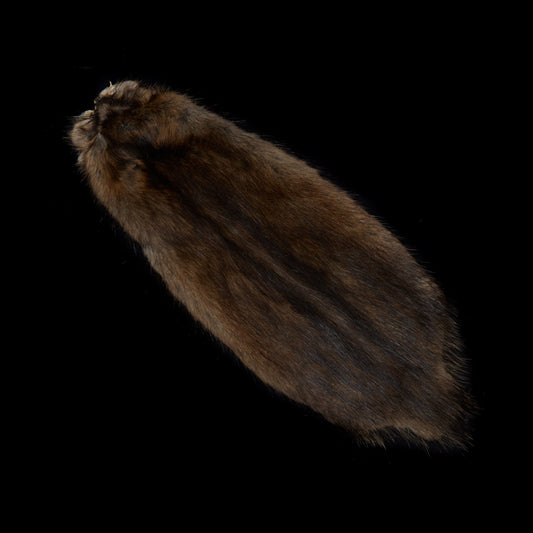 Muskrat pelt