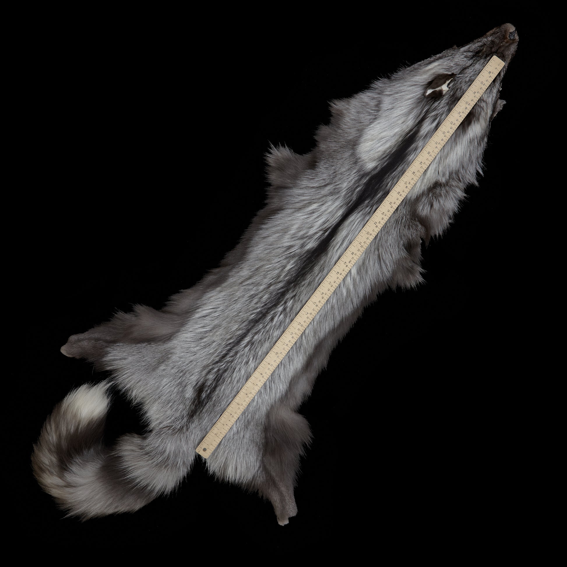 Platinum Fox (Silver) - measured