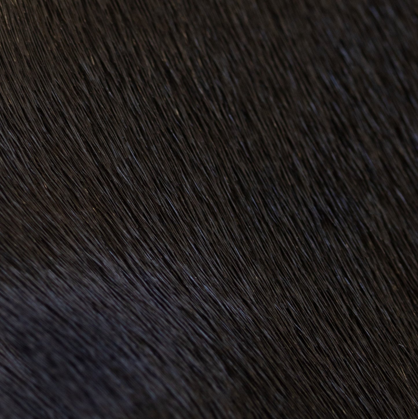 Dyed Harp Seal Skin - Dark Brown (close)